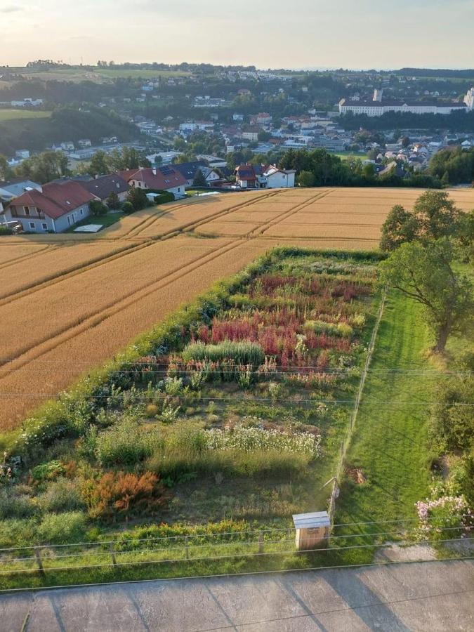 Wildkraut'S Kraeuterbauernhof - Ferienwohnung Kremsmünster Eksteriør billede